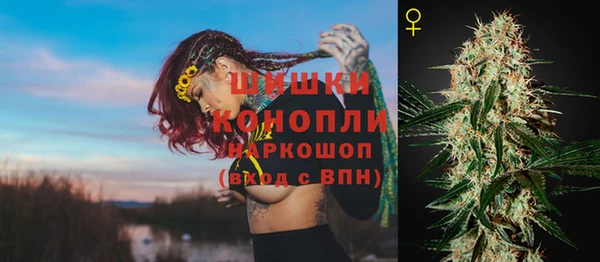 меф Пересвет