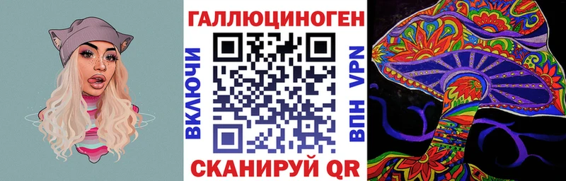 Псилоцибиновые грибы Psilocybine cubensis  Биробиджан 