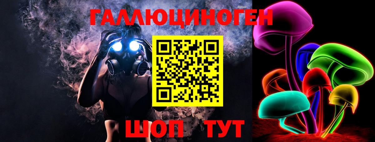 Галлюциногенные грибы Psilocybine cubensis Биробиджан