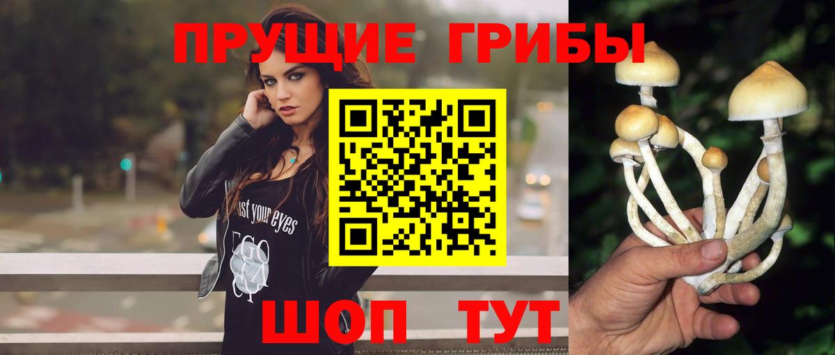 Биробиджан  Псилоцибиновые грибы MAGIC MUSHROOMS  Вход с VPN 